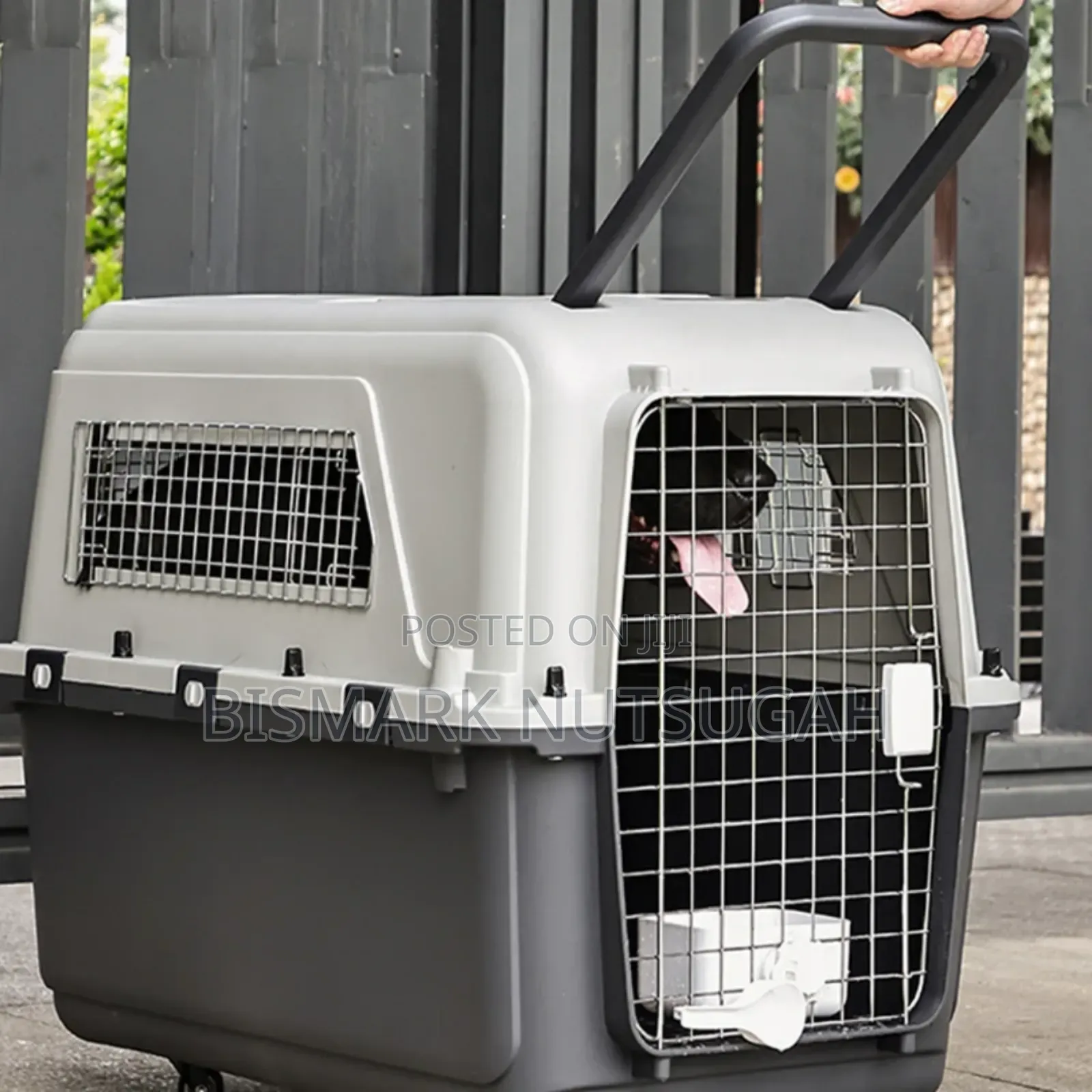 Pet Carrier/Dog Cage
