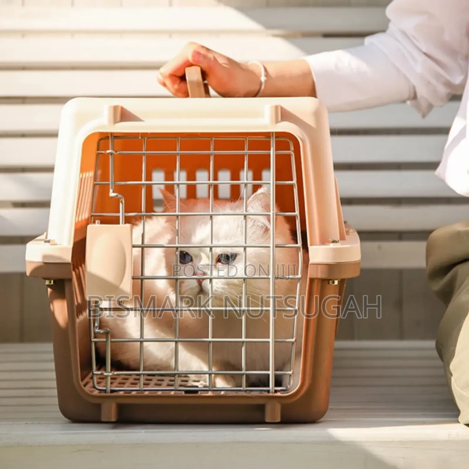 Pet Carrier/Dog Cage