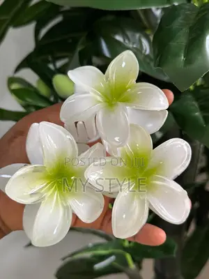Hair Clip Flower Design