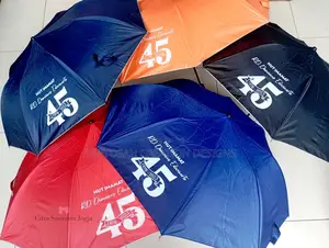 Umbrella  With Branding
