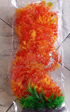 Long Aquarium Plant