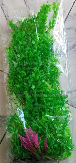 Long Aquarium Plant