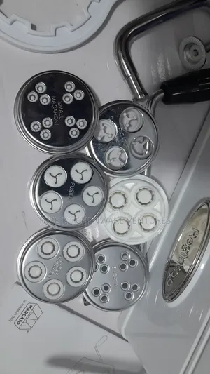 Regina Bake Chips Machine(Original)