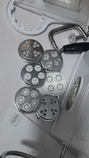 Regina Bake Chips Machine(Original)