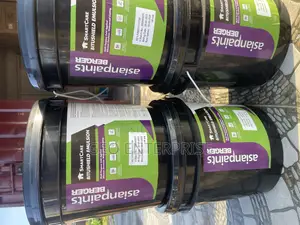 Bitumen Waterproofing Paint