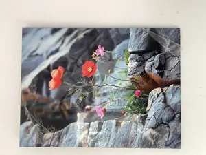 Classic Wall Canvases for Wall Decor 
