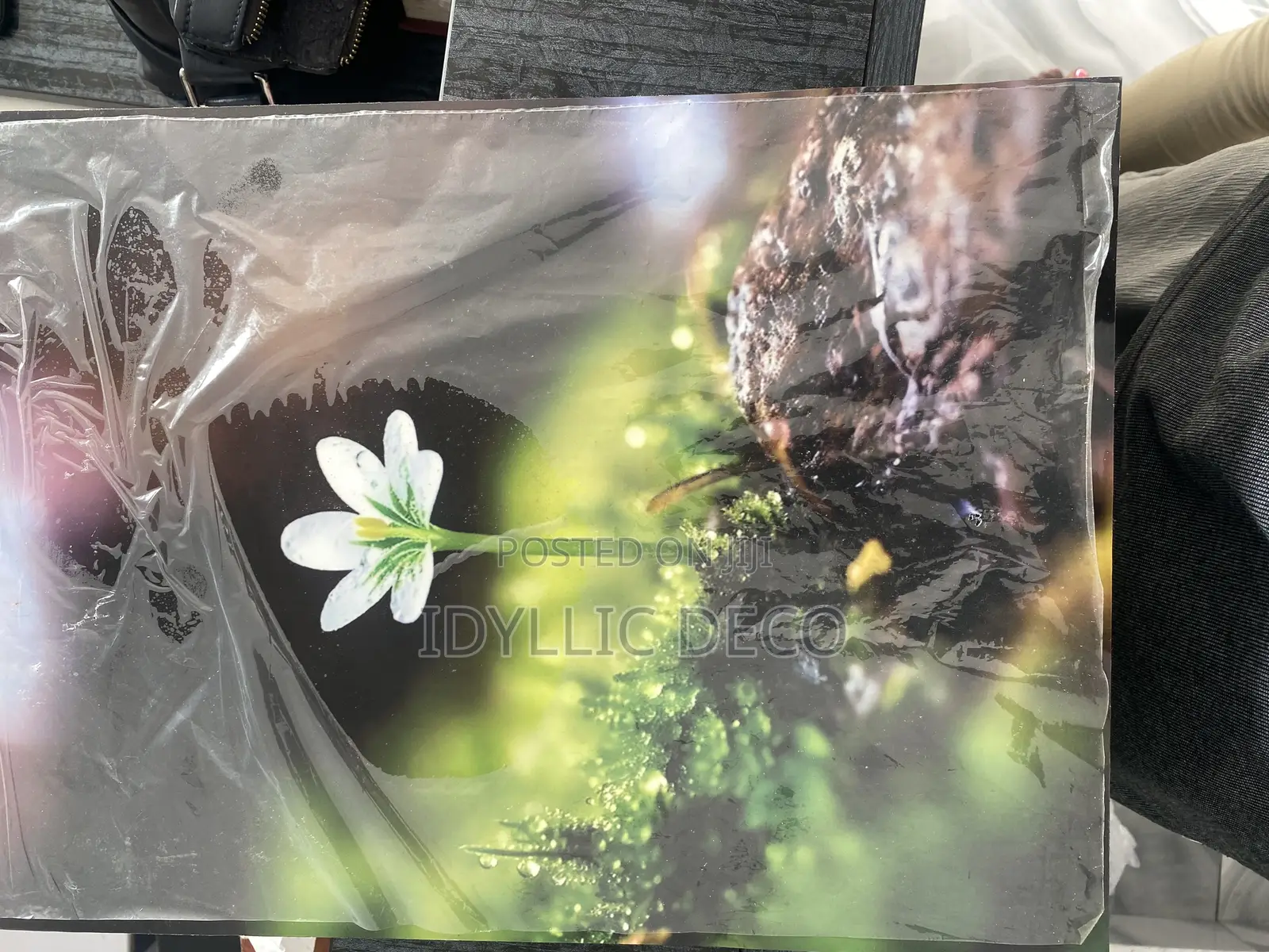 Timeless Wall Canvases for Premium Environment 