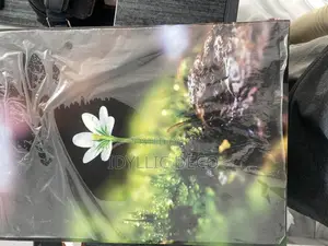 Timeless Wall Canvases for Premium Environment 