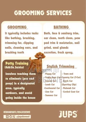 Grooming Services (Shaving Bathing)