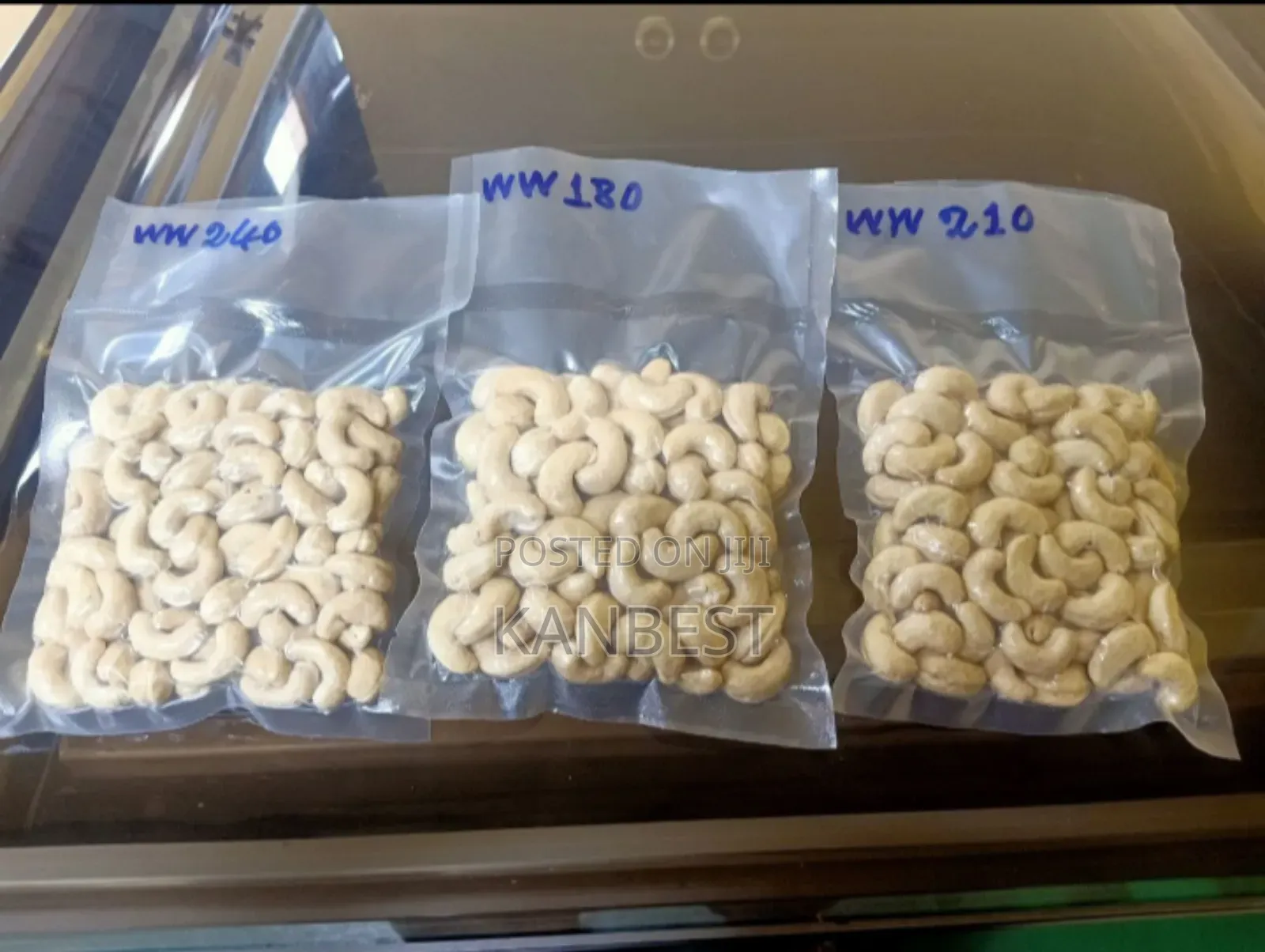 Cashew Nut (Raw And Processed)