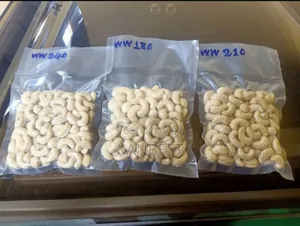 Cashew Nut (Raw And Processed)