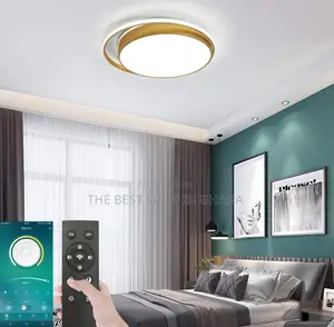 Wood Blend With Plastic Design Ceiling Light Available for Sale