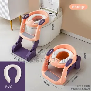 3 In 1 Toilet Seat Ladder And Potty