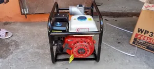 Person Wp30 Water Pump