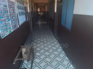 School Attendant Cleaner