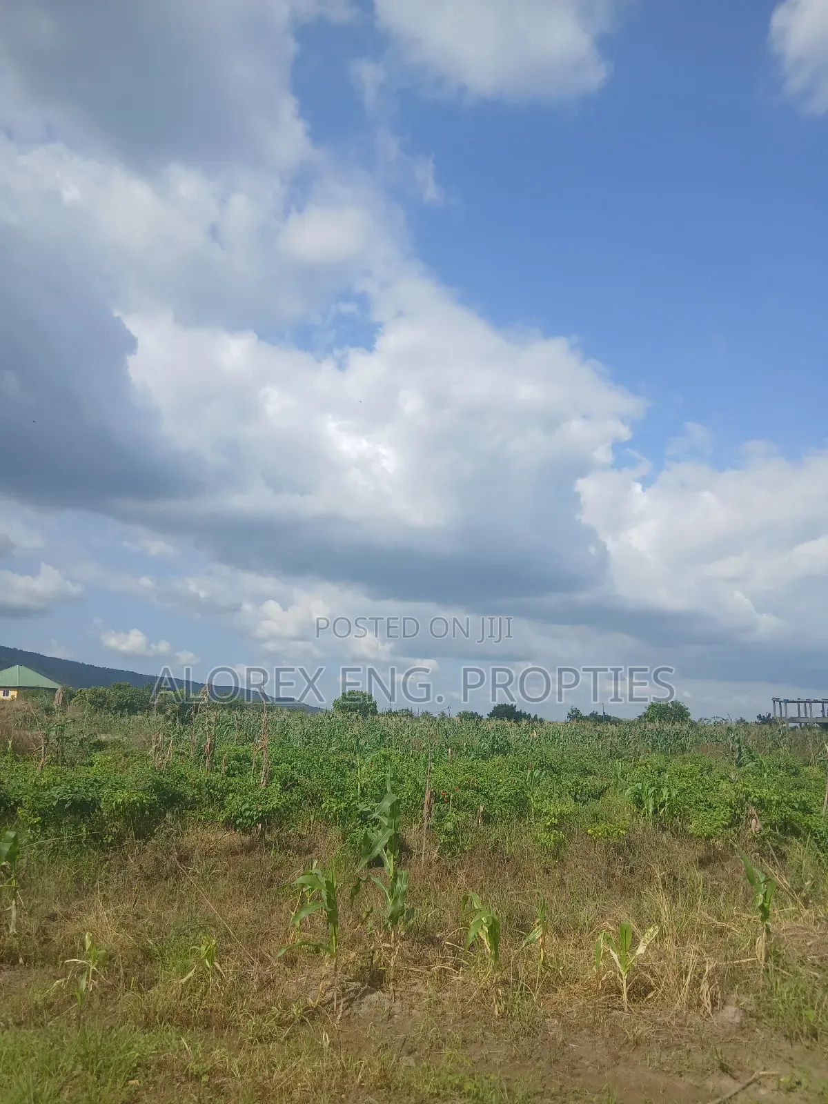 Land for Sale at Dodowa Ayikuma
