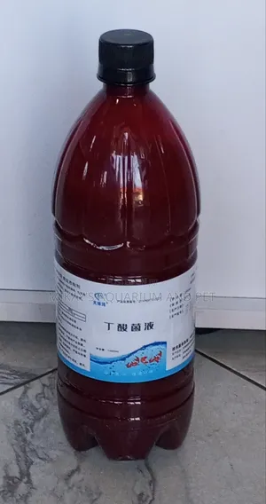 Probiotics For Aquarium Fishes