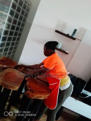 Professional Cleaning Services