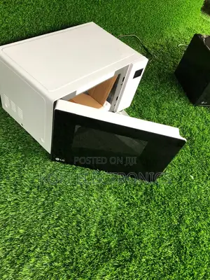 Refined Simplicity: The Lg Black White Microwave