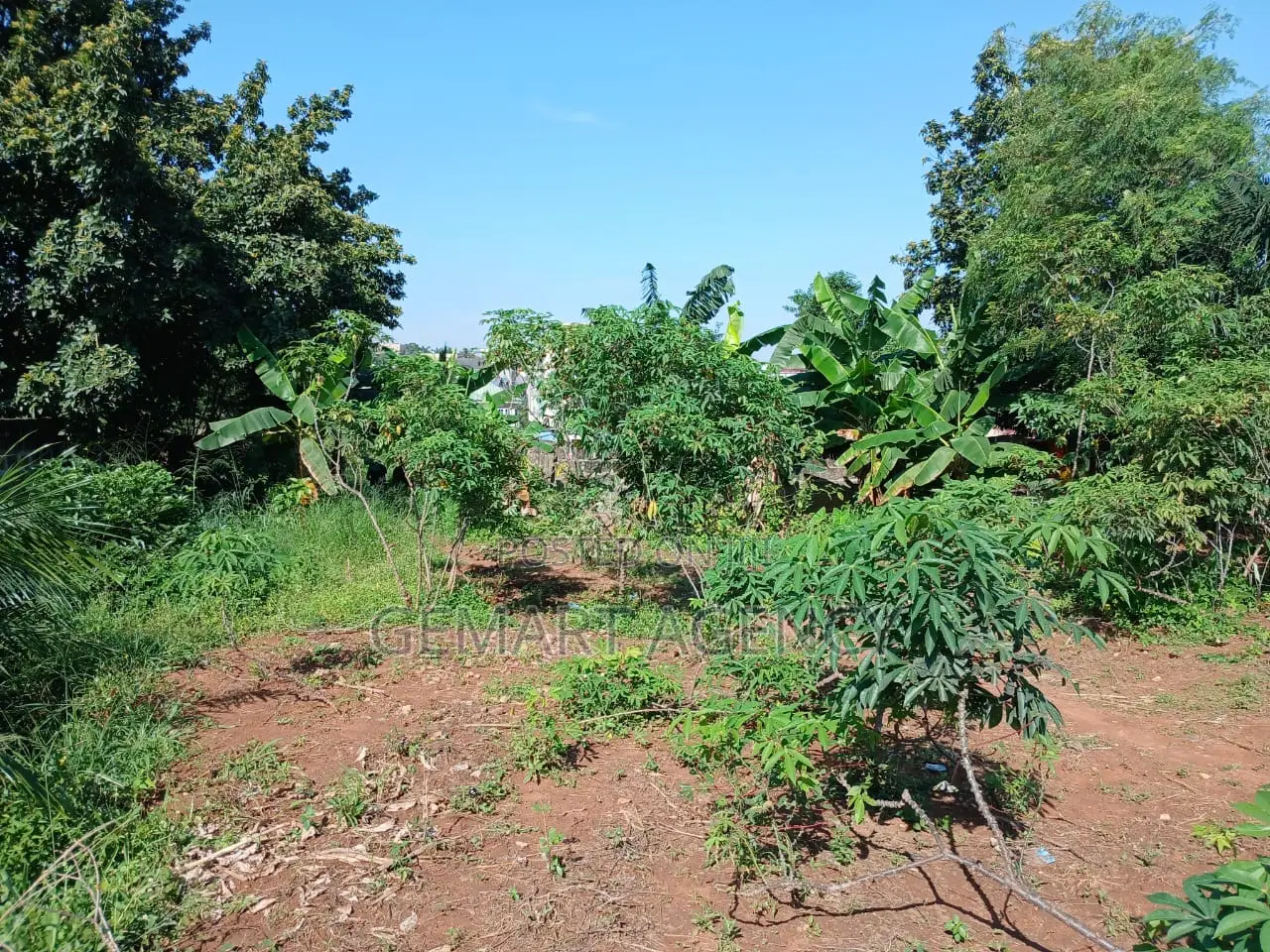 Land for Sale at Taifa