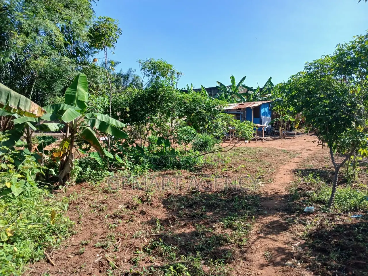 Land for Sale at Taifa