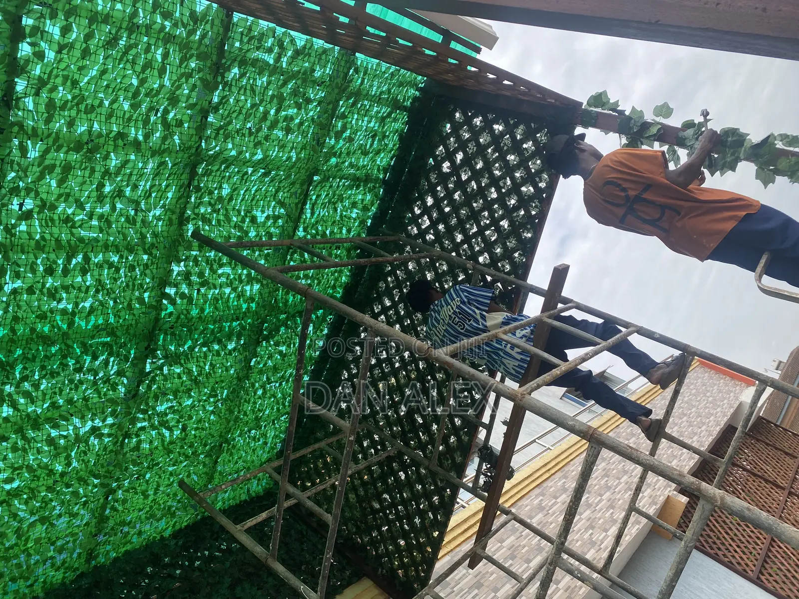Pergola and Carpentry
