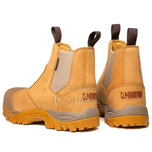 Saafety Shoe