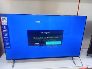 Smart Entertainment Redefined – Ailyson 43" Tv