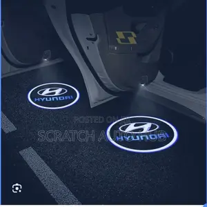 Hyundai Door Shadow Light