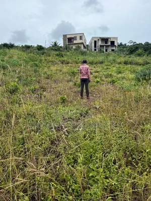 Titled 4 Plots at Oyarifa - Teiman Going for Per Plot