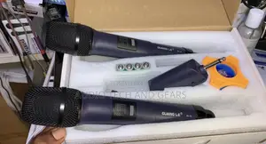 Guang-Le W-15 Wireless Microphone