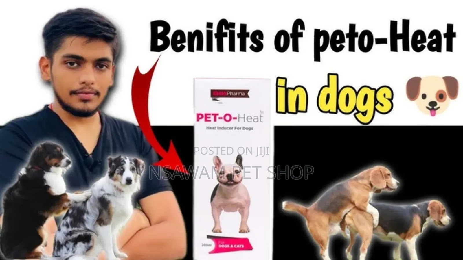 Pet O Heat