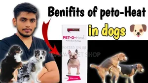 Pet O Heat
