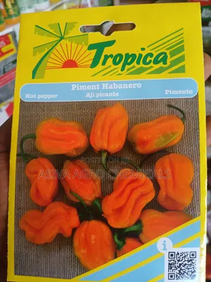 Habanero Pepper (Yellow Pepper) Seeds