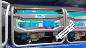 Total Silent Petrol 7.5kva Generator 8500watt Pullstart