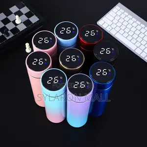 Smart Stainless Steel Thermos Flask With Led Temperature Display