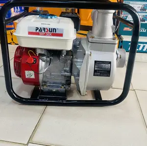 Water Pump 4stroke Gasoline Engine Parsun 5.5hp (256gp)
