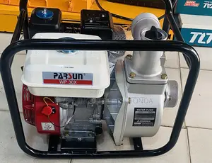 Parsun Agriculture Water Pump