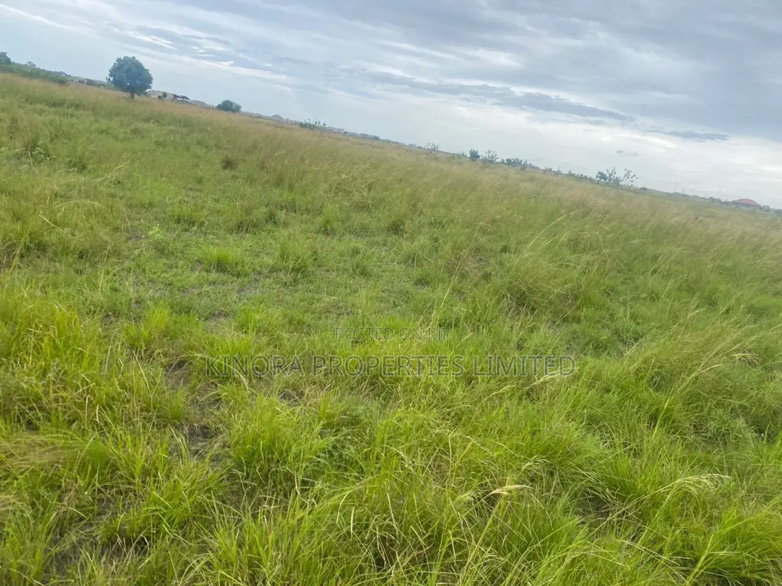 Litigation Free Plots of Land for Sale at Prampram