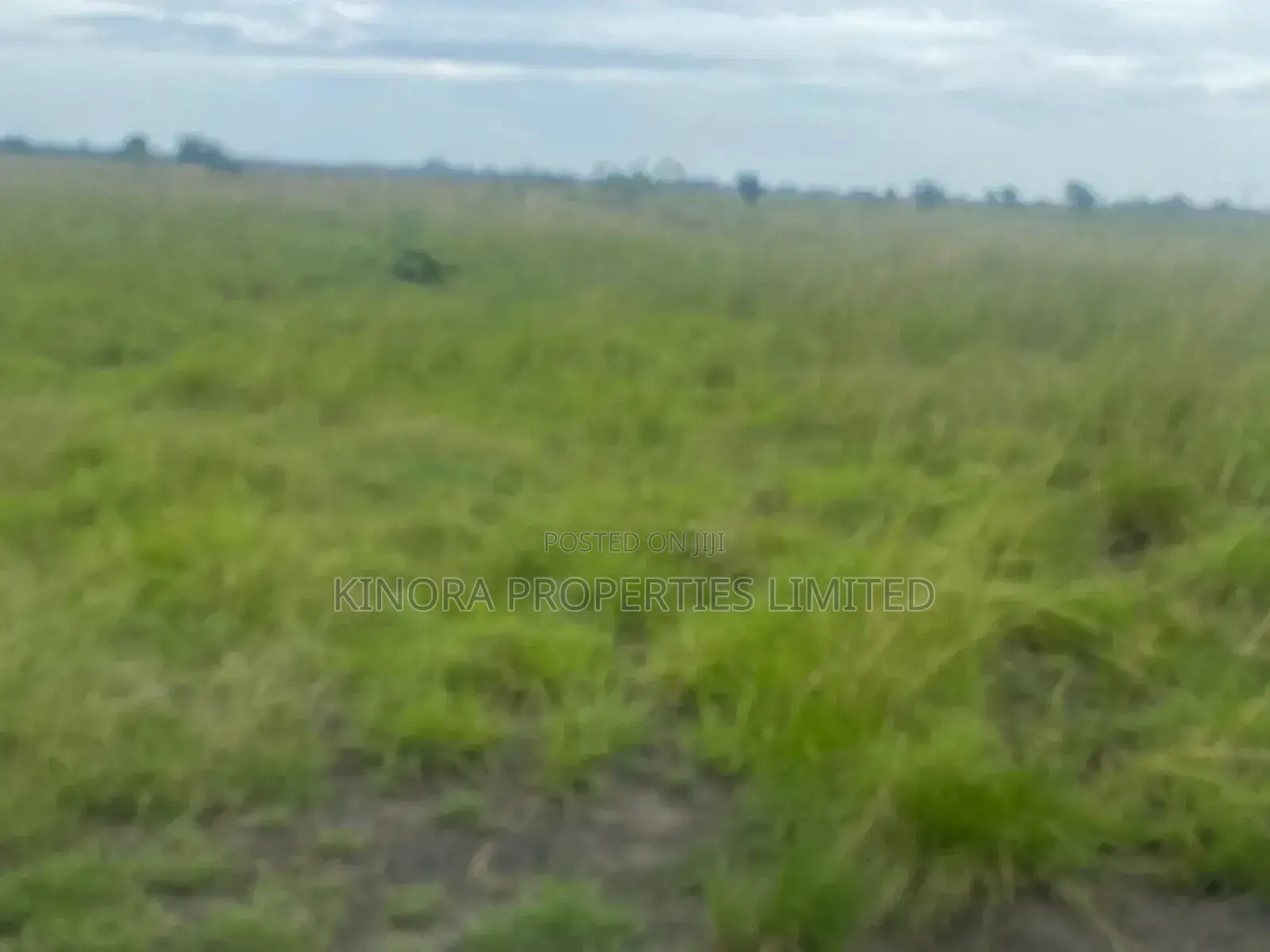 Litigation Free Plots of Land for Sale at Prampram