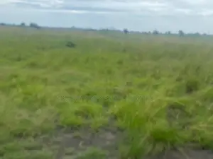 Litigation Free Plots of Land for Sale at Prampram