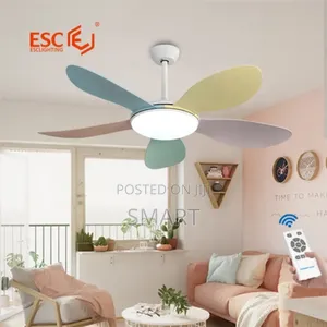 Modern Ceiling Fanlight