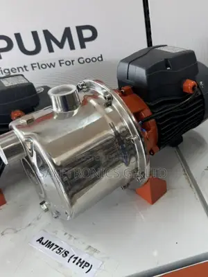 Newest Leo (Stainless Steel) Ajm75/S 1hp Salt Resistant Water Pump