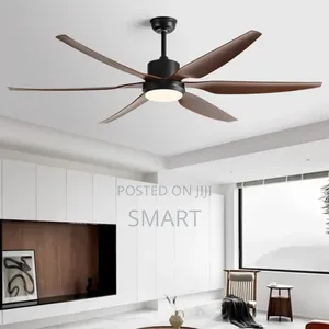 Executive Art Ceiling Fanlight - Black + Dark Wood