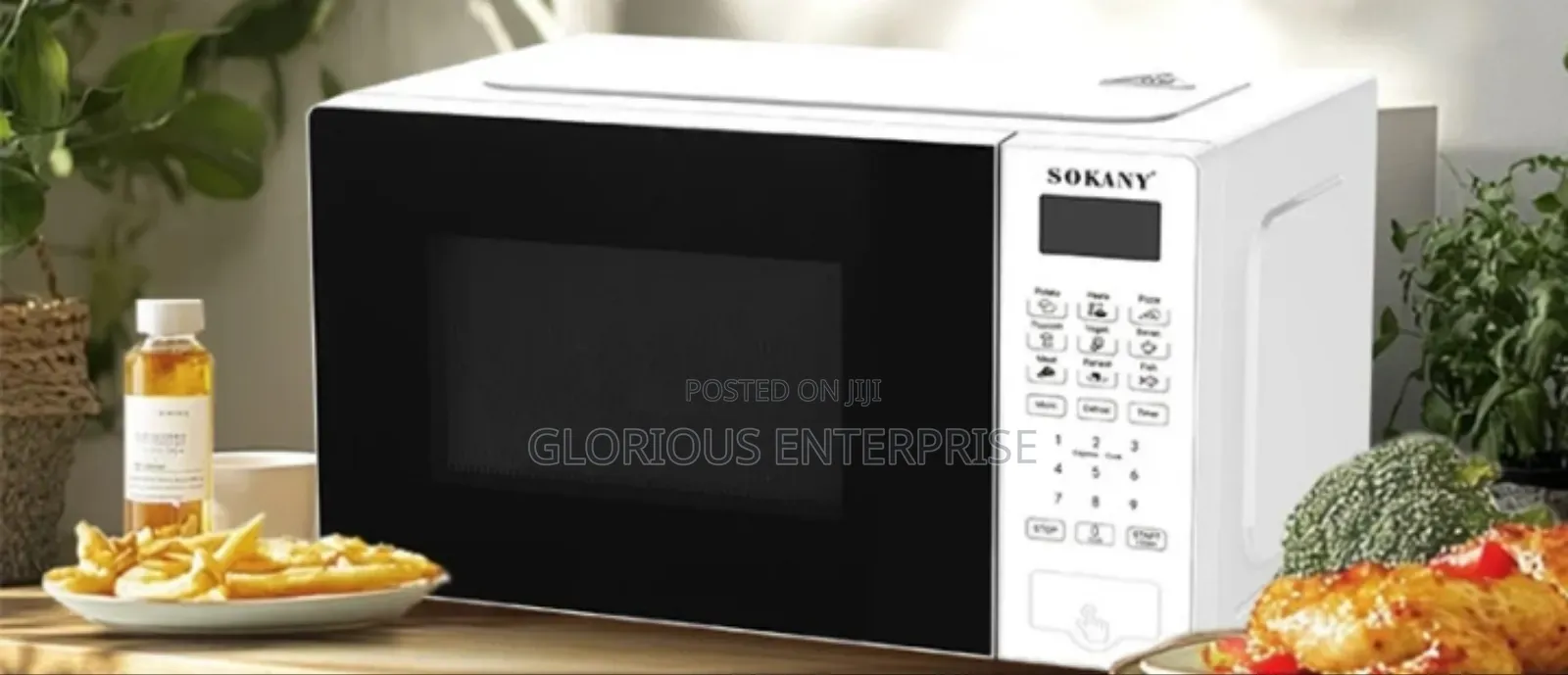 Digital Microwave
