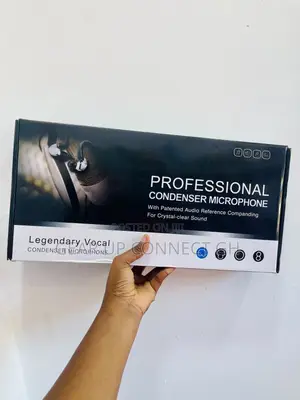 Studio Microphone (Professional Condenser Microphone)