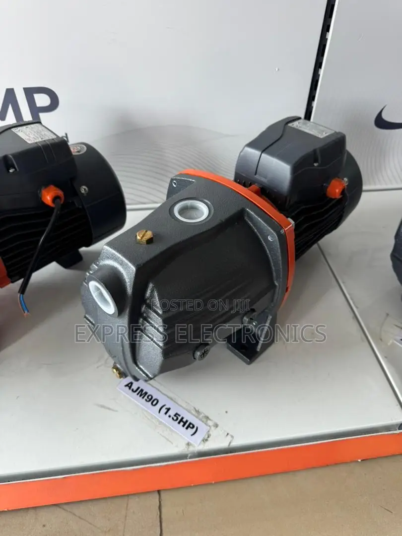 Best Buy for Less Leo Pump Water Electric 1hp