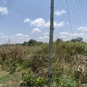Service 4 Plots With a Very Nice View at Aburi Jankama , Per Plot