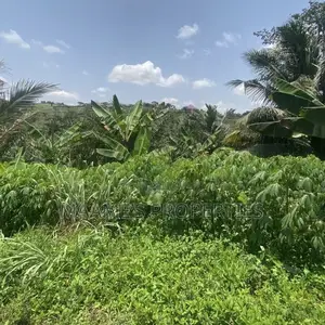 Service 4 Plots With a Very Nice View at Aburi Jankama , Per Plot