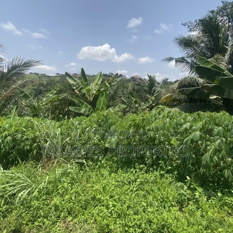 Service 4 Plots With a Very Nice View at Aburi Jankama , Per Plot